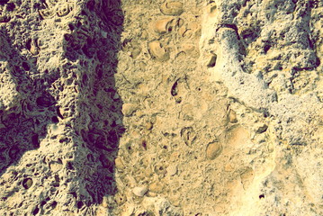background texture of limestone stone from the shore