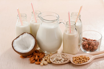 Fresh homemade vegan milk