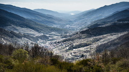 Overview of the Jerte Valley, during the thousands of cherry trees bloom