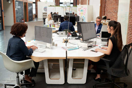 Business Team Working At Desks In Modern Open Plan Office