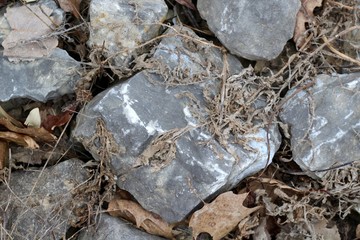 The rock and stone textures and pattern on a close view.