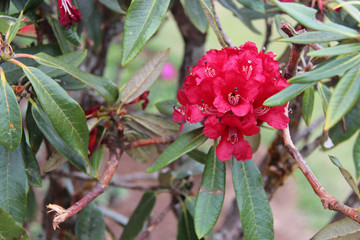 In a park in Thailand