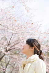 桜を見上げる女性の横顔