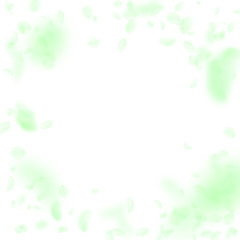 Green flower petals falling down. Exceptional roma