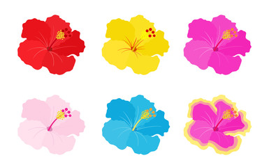 南国の花輪 装飾フレーム Wall Mural Wallpaper Murals Dragontiger8