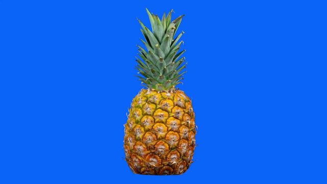 pineapple fuit tropical diet healthy