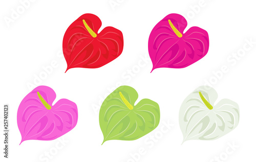 南国の花 アンスリウム セット Wall Mural Wallpaper Murals Dragontiger8