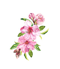 Pink flowers. Spring time apple, cherry blossom, sakura branch. Watercolor