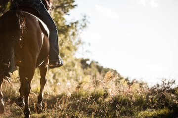 Galopp Richtung Sonnenuntergang