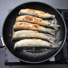 Heringssaison, grüner Hering in der Pfanne gebraten