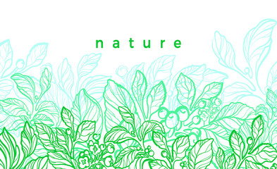 Vector nature card. Graphic illustration, botanical plant. Green mate branch