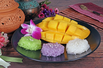 Mango sticky rice, famous Thai dessert. Fresh sliced mango served with colorful sticky rice (Pandan green, Bluebellvine purple and Moon white color) ,and coconut milk.