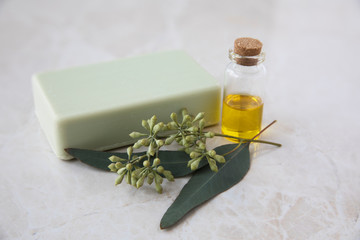 Eucalyptus Oil, Soap, and Leaves
