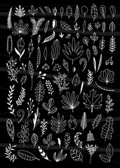Vector floral leaves set on black background. Hand sketched outline botanical elements