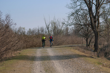 Fototapeta premium ciclisti corrono in campagna