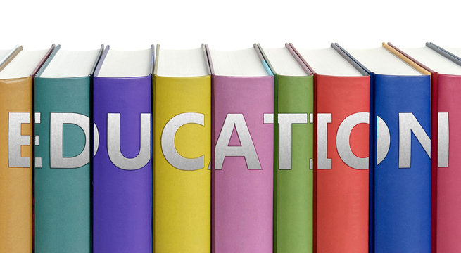 Education and books in a library - ideas of studying, learning and reading pictured as colorful books on white background with english word as a title, 3d illustration