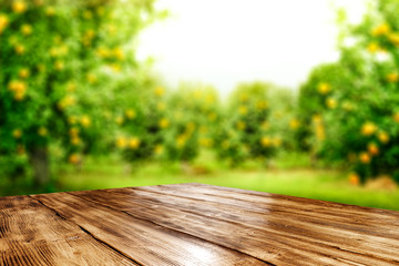 Fototapeta premium Desk of free space for your decoration and spring blurred background 
