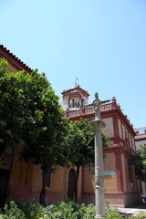 Fototapeta na wymiar Cross on the square in Seville