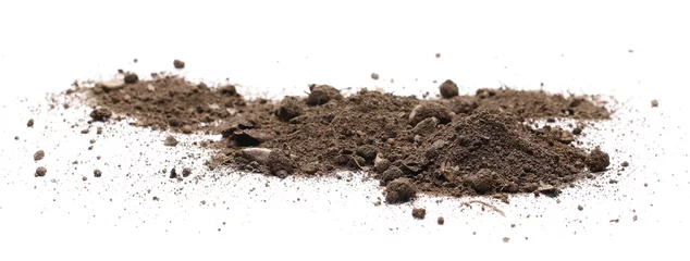 Foto op Canvas Dirt, soil isolated on white background © dule964