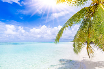 Sun rays and palm leaves on empty tropical beach. Exotic landscape and blue sea for inspirational summer vacation and holiday