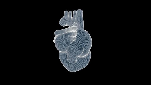 Beating human heart wireframe rotating, seamless loop, Luma Matte attached