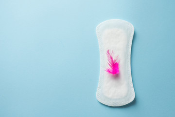 Red feather and daily, menstrual woman pad for hygiene or blood period on blue background. copy space . Menstruation sanitary soft pad, hygiene protection.