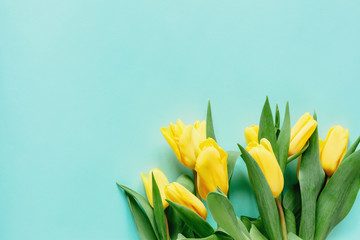 Floral background with yellow tulip flowers on light blue