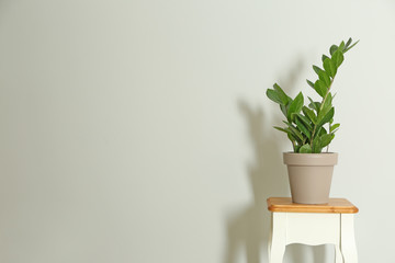 Table with houseplant near white wall