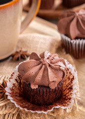 Chocolate Cupcake With Creamy Icing