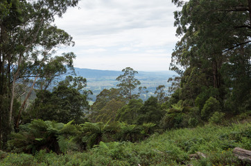 Mountain lookout in Australia