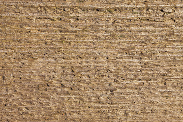 Brown wooden board texture. Natural pattern backdrop.