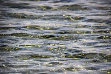 Seabed, golden-yellow solar patches of light. The greased image of seaweed reminding light spots. Soft focus. Blyur.