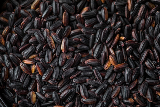 Schwarzer Reis roh der Sorte Bio-Nerone im Detail
