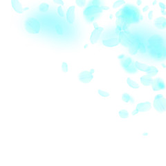 Turquoise flower petals falling down. Appealing ro