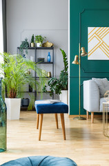Blue bench next to grey scandinavian sofa in tropical inspired interior with green and gold colors
