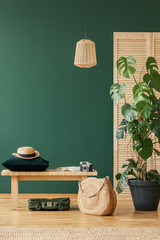 Lamp above wooden stool and bag next to plant in green flat interior with hat. Real photo