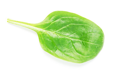 Green spinach leaf on white background - Image