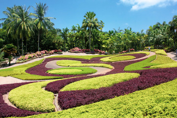 Tropical park with flowers. Flower Carpet in Thailand garden