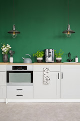 Two metal lamps above kitchen counter with herbs, coffee maker and roses in vase, copy space on empty green wall