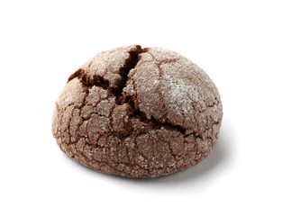 Chocolate cookie on white background