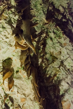 Addentrandosi nelle Grotte di Postumia