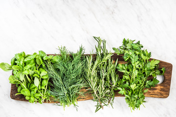 Collection of fresh garden herbs on marble table