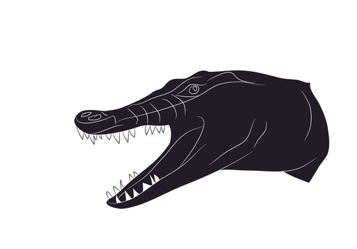 vector illustration of a crocodile portrait, drawing silhouette