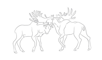vector illustration of a deer fighting, drawing by lines
