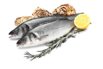 Fresh fish and oysters on white background
