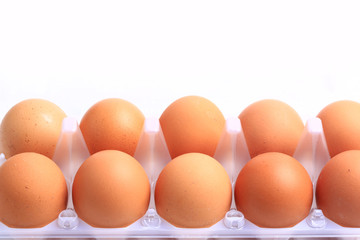 chicken eggs isolated on white background. 10 eggs in a tray