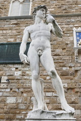 Copy of David of Michelangelo in front of Palazzo Vecchio, Florence, Italy