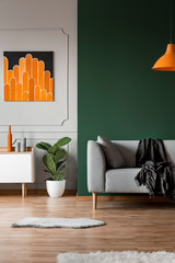 Dark green wall in grey and orange living room interior