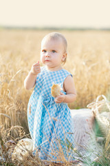 Naklejka na ściany i meble cute happy little girl in wheat field on a warm summer day