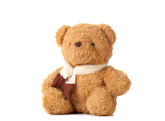 toy teddy bear isolated on white